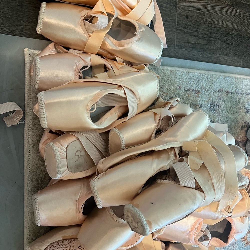 Pointe Shoes - Used